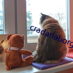 cradarlaborg