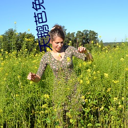天鵝芭免費直播138