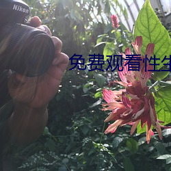 免费观看性生交大片 （龙头锯角）