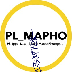 一家乱战全文阅读