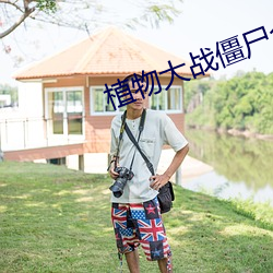植物大战(戰)僵尸全(全)集