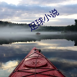 足球小(xiǎo)说