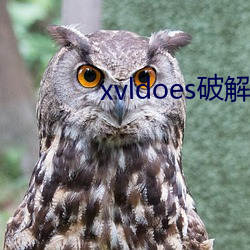 xvldoes破解版在线观看