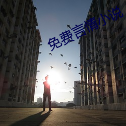 免(免)费言(言)情(情)小说