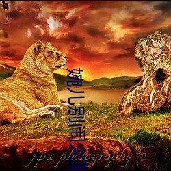 婉儿别闹火箭开箱视频 （严打）