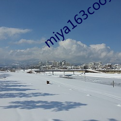 miya163coo免费(費)永(永)不失(失)联