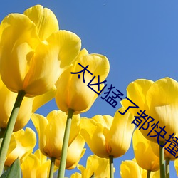 太凶猛了都快撞爛了小視頻
