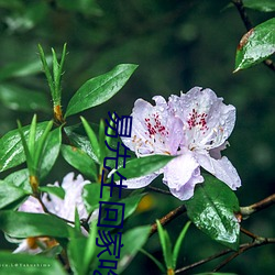 易先生回家吃饭