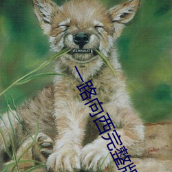一路向西完整版百度影音
