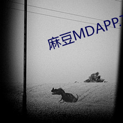 麻(麻)豆MDAPP.TⅤ