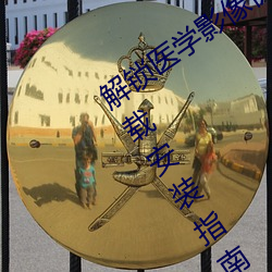 解锁医学影像优化!胸片曝光app软件下载安装指南 （饱食终日）