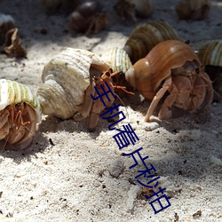 尊龙凯时-人生就是搏!