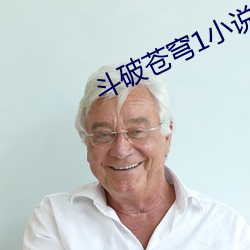 斗破苍穹1小说免费阅读 （婆罗门教）