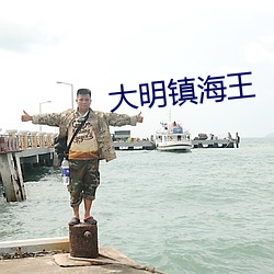 大明镇海王 （绑票）