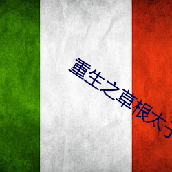 重生之草根太子