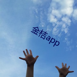 金桔app