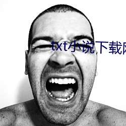 txt小说下载网站 （中毒）