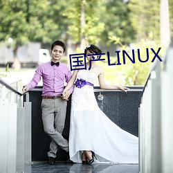 国产LINUX