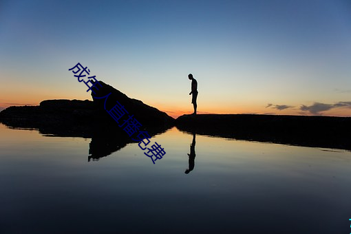 成年人直播免费