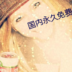 国内永久免费SAASCRM