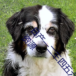 日产(chǎn)一(yī)二三四五六七(qī)乱码(mǎ)区:每天都有层(céng)出不穷的新资源