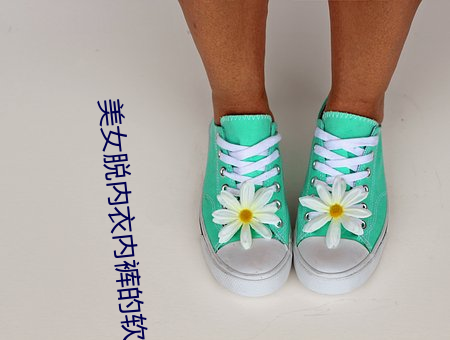 美(měi)女脱内(nèi)衣内裤的软件