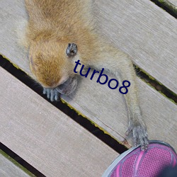 turbo8