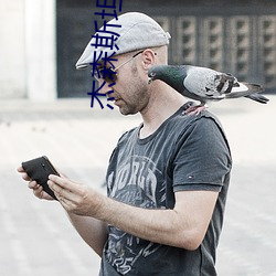 杰森斯坦森介绍