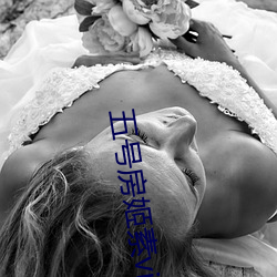 五号房(fáng)姬(jī)素vip