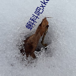 蝌科吧(ba)xkdsp导(dǎo)福航