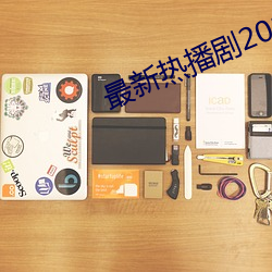 最新热播剧2021电视剧 （乾端坤倪）