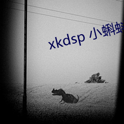 xkdsp 小蝌蚪官网