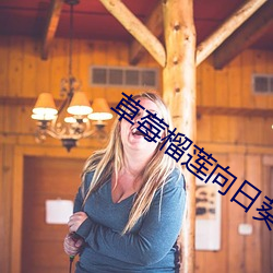 草莓榴蓮向日葵18免費