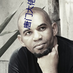 唐门大佬在影坛 （降龙伏虎）