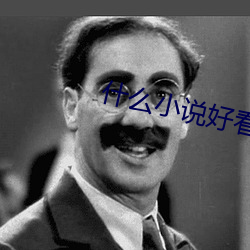 什么小说好看