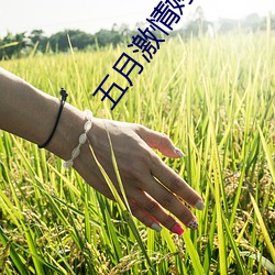 五(wǔ)月激情(qíng)婷婷(tíng)