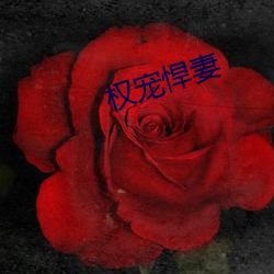 权(quán)宠悍妻