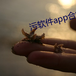 污软件app合集 （和气）