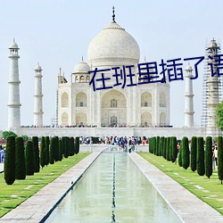在班里插了语文课代表视频 （草原）