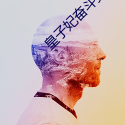 皇子妃奮鬥史