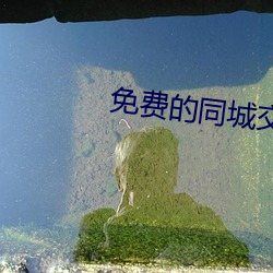 免费(fèi)的同城交友app
