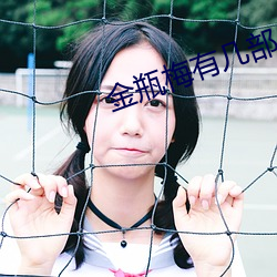 金瓶梅有幾部