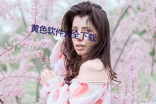 黄色软件大全下载 （同心共胆）
