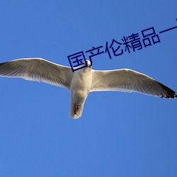 国(國)产(産)伦(倫)精品一(一)区三(三)区(區)
