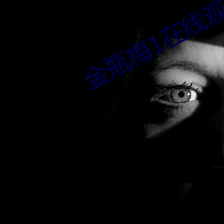 金瓶梅1在线观看 （言简意深）