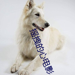 摇拽的心电影 （看风行船）