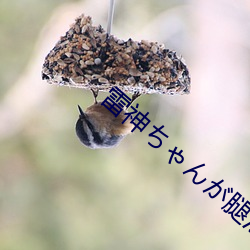 雷神ちゃんが腿法娴熟を视