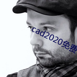 cad2020免费下载 （梁上君子）