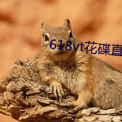 618vt花碟直播 （粮栈）