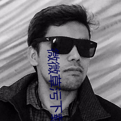 微微草污下载软件